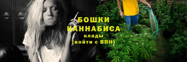 бутират Белокуриха