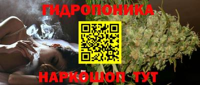 spice Бузулук