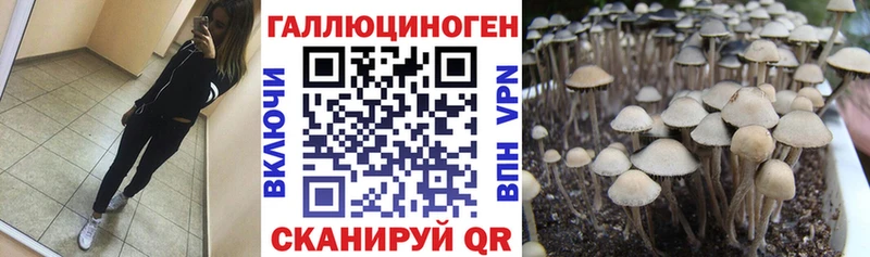 Галлюциногенные грибы ЛСД купить цена Великие Луки