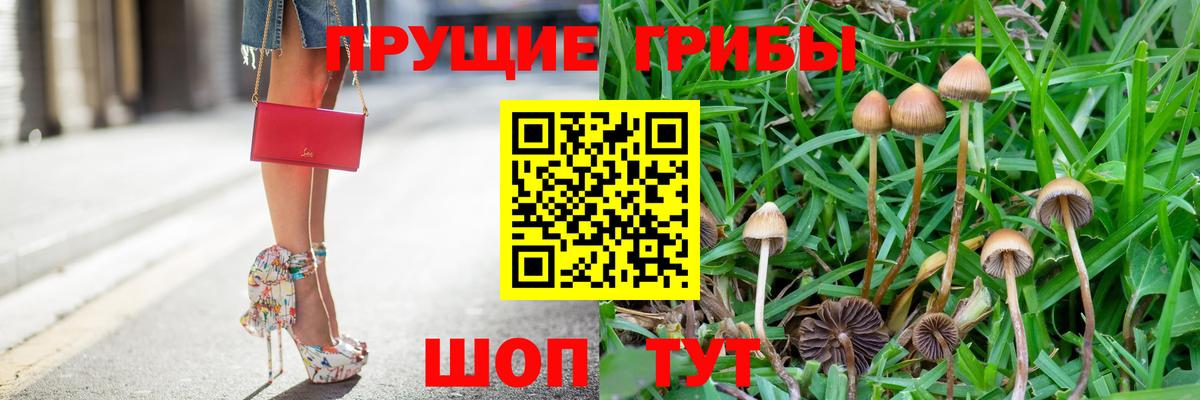 дарнет шоп  Псилоцибиновые грибы мухоморы  Вход с VPN  Великие Луки 